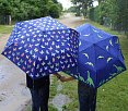iX-brella Mini Butterfly - dětský deštník měnící barvu foto